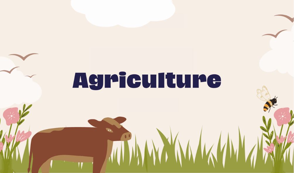 Giới thiệu về Agriculture