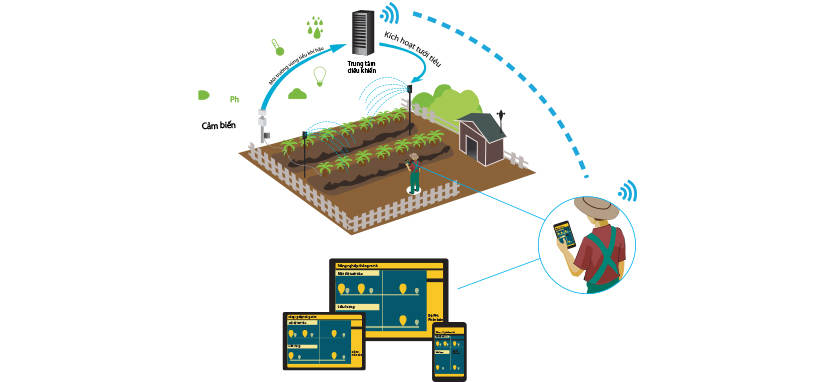 Thiết kế phần mềm IoT cho nông nghiệp
