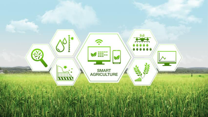 Lợi ích của phần mềm IoT trong nông nghiệp