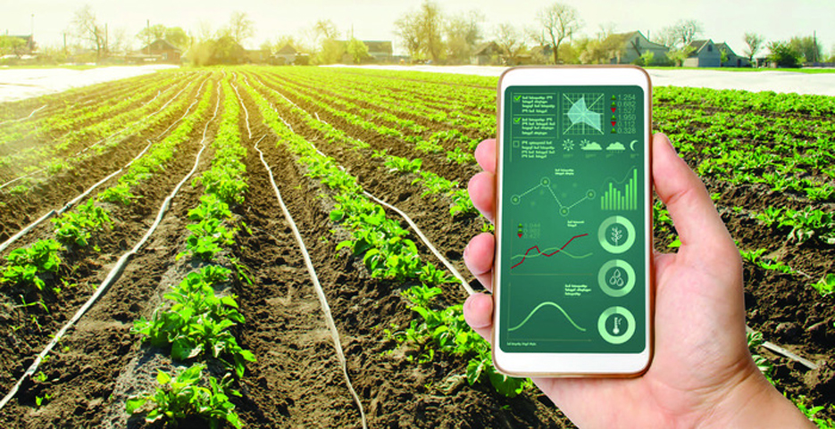Các ứng dụng thực tế của phần mềm IoT trong nông nghiệp