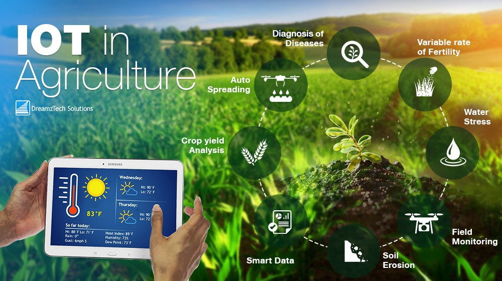Các ứng dụng thực tế của phần mềm IoT trong nông nghiệp